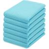 PurpleEssences Waffle Weave Kitchen Towel, 100% Cotton – 15 x 25 Inches, with Hanging Loop Ultra Soft Absorbent Quick Drying Dish Cloth, Tea and Hand Towels, 6 Pack – Fall Thanksgiving – Aqua Blue(Aqua Blue)