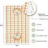 PurpleEssences Pumpkin Cotton Kitchen Towels Set of 2 – Absorbent Dish Towels Set Tea Towels Bar Towels Multi Purpose Kitchen Linen, Drying Dish Hand Towels 16 x 26 Inch – Pumpkin Patch(Vibrant Give Thanks)