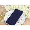 PurpleEssences Set of 12 Hemstitch Cloth Dinner Napkins 100% Cotton – Soft Durable Washable – Ideal for Wedding Christmas Holiday Winter – Perfect Everyday Use Table Linen 18×18 – Blush Pink(Navy Blue)